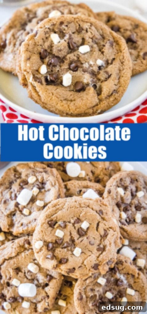 Decadent Hot Chocolate Cookies 6 Close-up shot of hot chocolate cookies on a white plate, highlighting their texture, melted chocolate, and marshmallow bits, perfect for a food blog or social media.