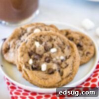 Decadent Hot Chocolate Cookies 7 A close-up of a plate of hot chocolate cookies with marshmallows, emphasizing their texture and inviting appearance.