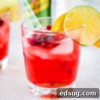 Cranberry Gin Cocktail Recipe - A delicious and festive cocktail with cranberry juice, gin, and a splash of triple sec.  