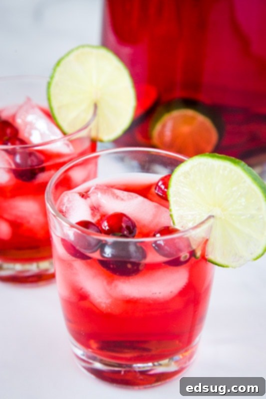 Easy Christmas Punch you can make for the kids or the adults!