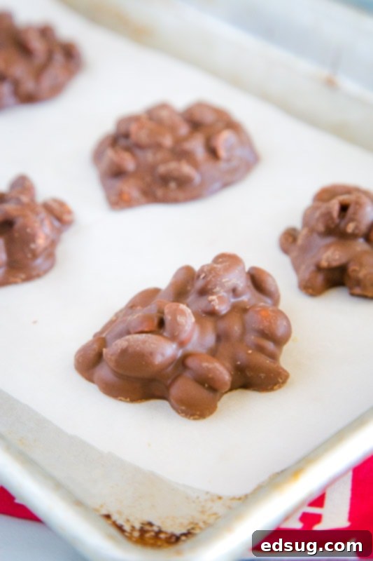 Close-up of easy chocolate-covered peanuts cooling on a baking sheet, freshly made in the crock pot.
