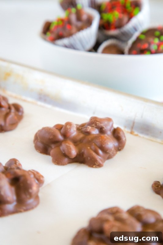A batch of homemade crock pot peanut clusters setting up, ready to be enjoyed for the holidays.