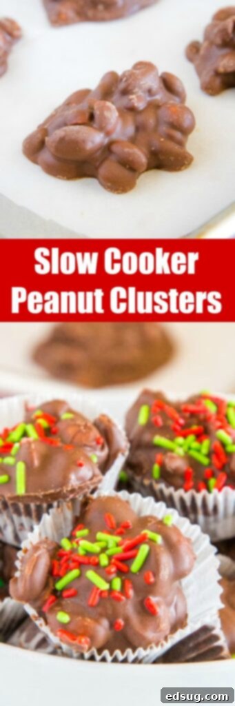 Assorted slow cooker peanut clusters presented beautifully, showcasing their rich chocolate coating and crunchy texture.