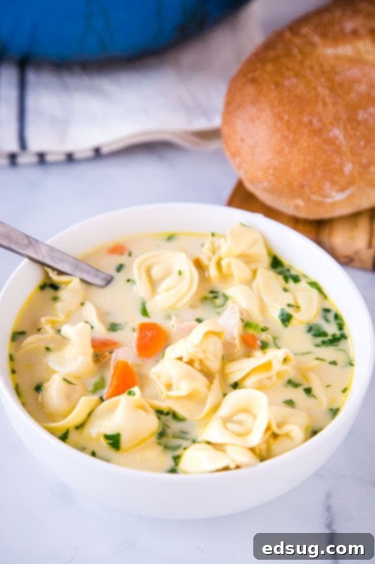 Velvety Chicken Tortellini Soup 2 A steaming bowl of Creamy Chicken Tortellini Soup, garnished with fresh parsley, highlighting its rich texture and delicious appeal for a quick and easy weeknight meal.