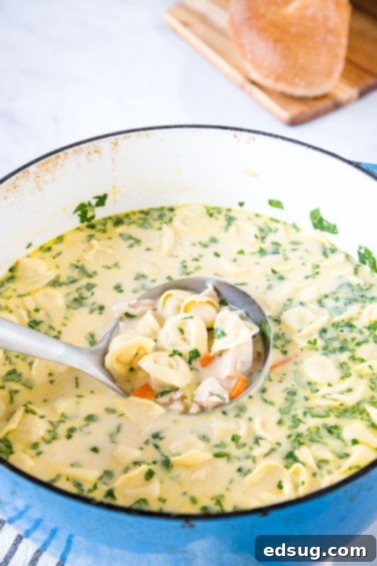 Velvety Chicken Tortellini Soup 3 A close-up of Creamy Chicken Tortellini Soup, showing tender chicken, soft tortellini, and colorful vegetables in a rich, creamy broth, ideal for a comforting meal.