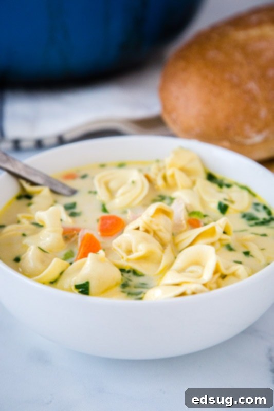 Velvety Chicken Tortellini Soup 4 A bowl of Creamy Chicken Tortellini Soup ready to be served, showcasing its vibrant ingredients and inviting warmth, perfect for a quick and comforting dinner.
