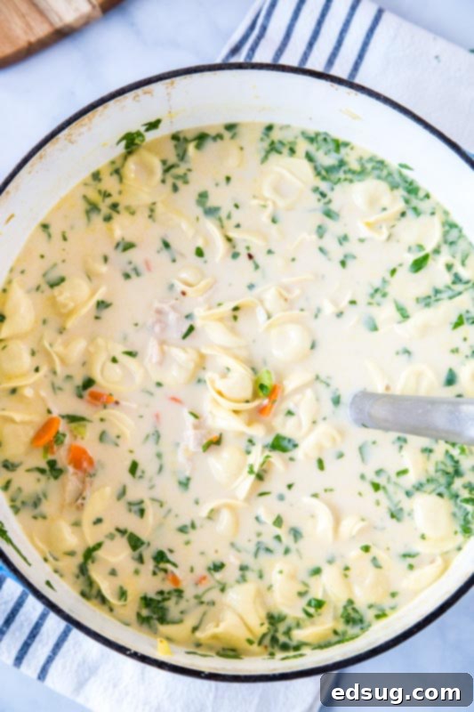 Velvety Chicken Tortellini Soup 5 A generous serving of Creamy Chicken Tortellini Soup in a rustic bowl, garnished with fresh herbs, ready to be enjoyed as a comforting and wholesome meal.