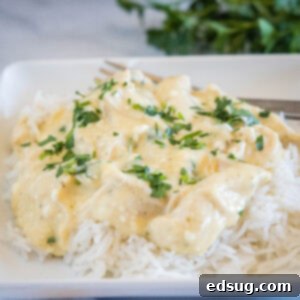 Resourceful Kitchen Creations 22 A close-up of creamy ranch chicken, a comforting and delicious 5-ingredient crockpot meal that is super easy to prepare.