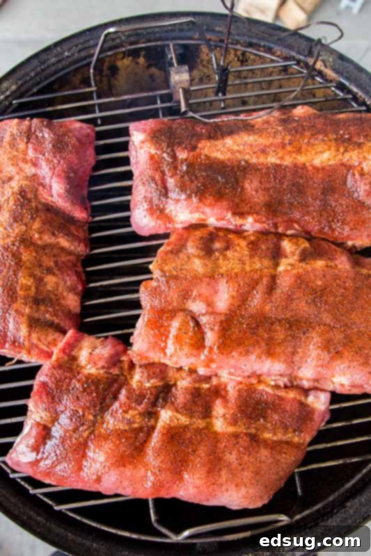 Slow-Smoked Baby Back Ribs 3 Ribs directly on the smoker