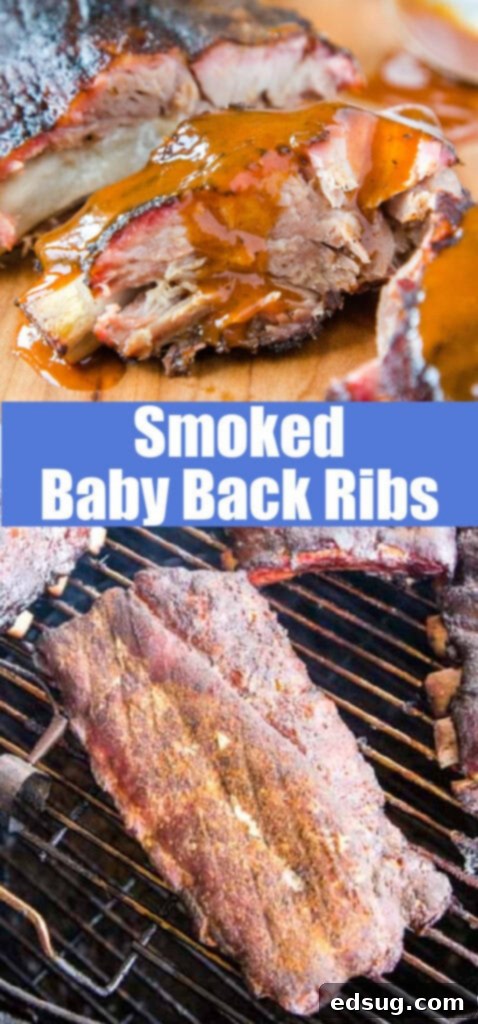 Slow-Smoked Baby Back Ribs 7 baby back ribs on the smoker and covered in barbecue sauce