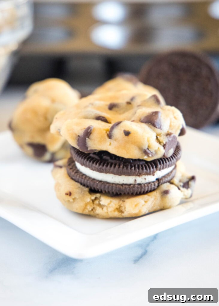 Chocolate Chip Cookies with an Oreo Center 5 A close-up of an Oreo cookie being encased by chocolate chip cookie dough.