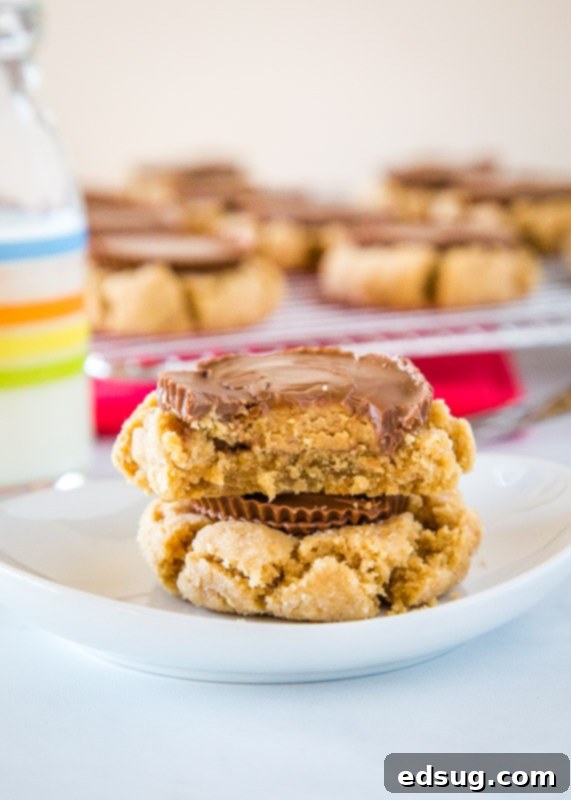 Stacked Peanut Butter Cup Blossom Cookies on a white plate, showcasing their perfect shape and melted peanut butter cup tops.