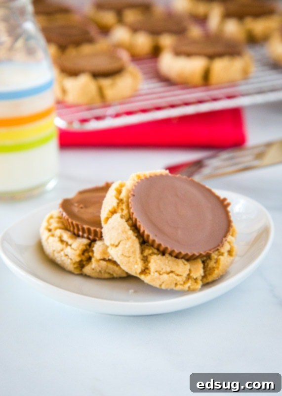 Peanut Butter Cup Blossom Cookies arranged beautifully on a white plate, ready to be enjoyed.