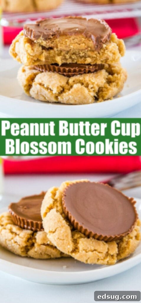 A close-up of a platter of freshly baked Peanut Butter Cup Blossom Cookies, showing the perfect texture and warm peanut butter cups.