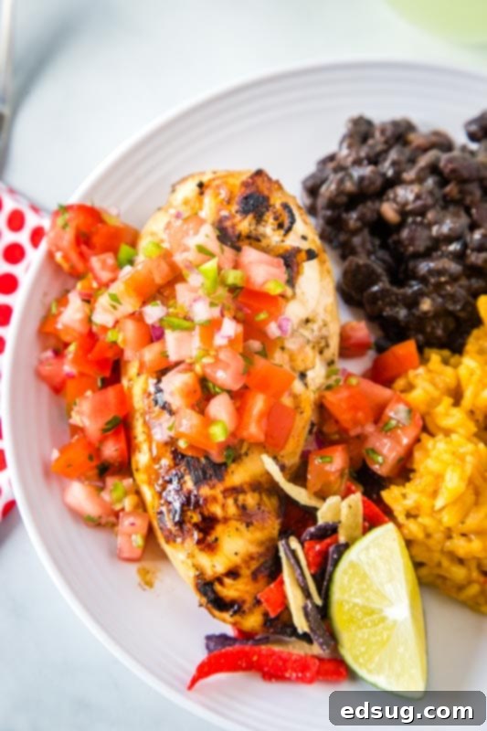 grilled chicken on plate with black bean and rice