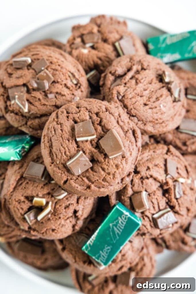 A serving plate brimming with soft and fudgy mint chocolate pudding cookies, showcasing their rich chocolate color and minty green chips.