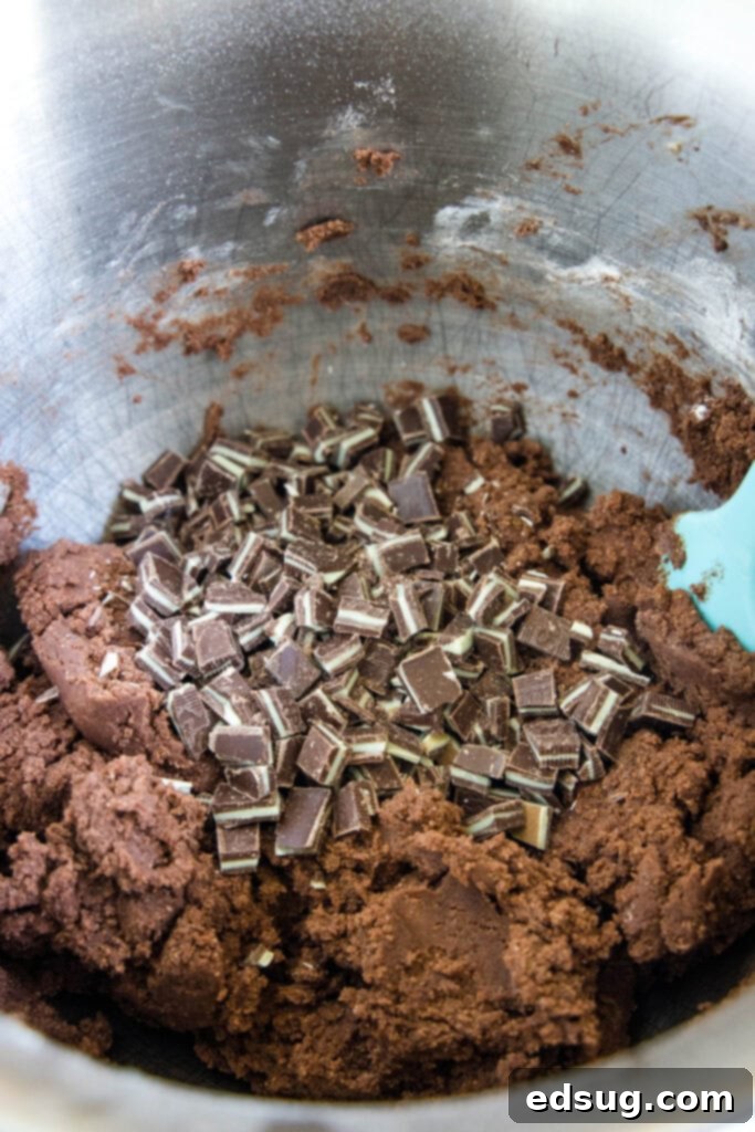 Adding Andes mint baking chips to rich chocolate cookie dough in a large mixing bowl.