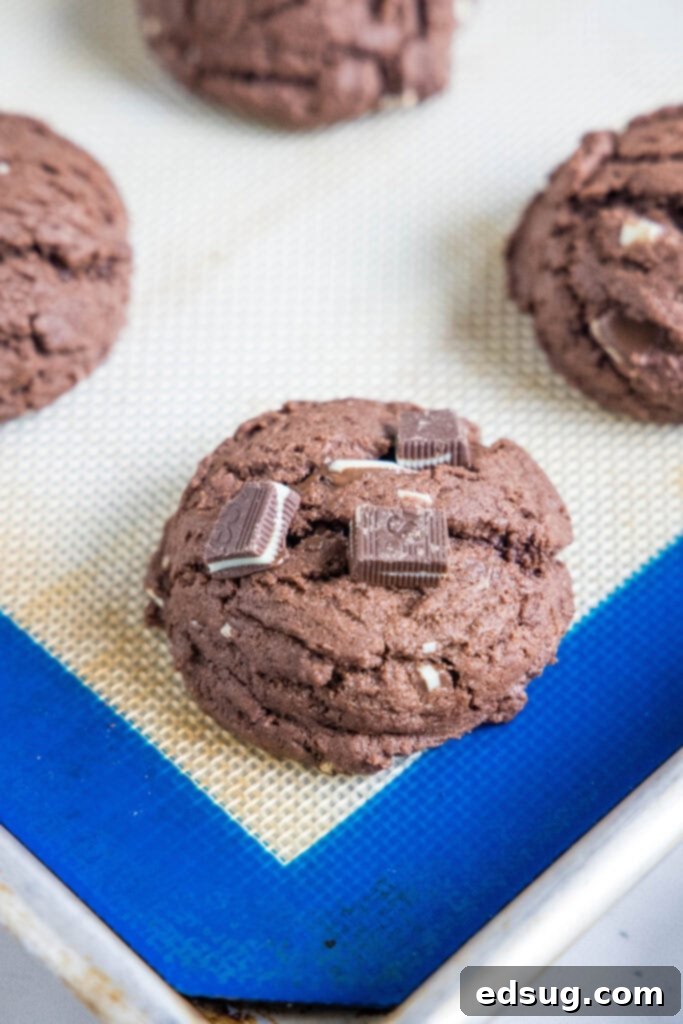 Freshly baked chocolate pudding cookies, still warm, with extra Andes mints melted on top, arranged on a baking sheet.