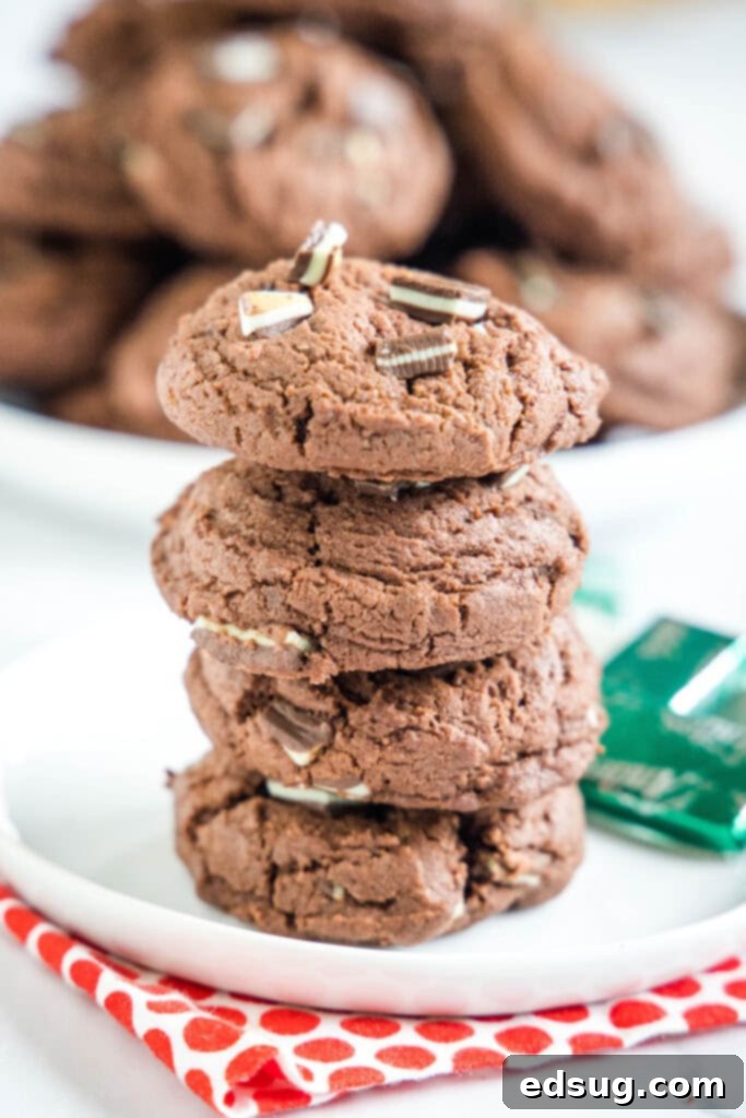 A tall stack of mint chocolate pudding cookies on a pristine white plate, showcasing their rich chocolate and inviting texture.