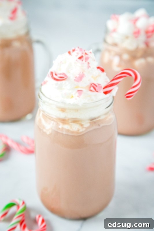 A beautiful glass of creamy peppermint hot chocolate topped generously with whipped cream, ready to be enjoyed.