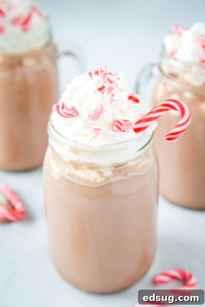 A simple yet elegant glass of peppermint hot chocolate, ready to be garnished and enjoyed.
