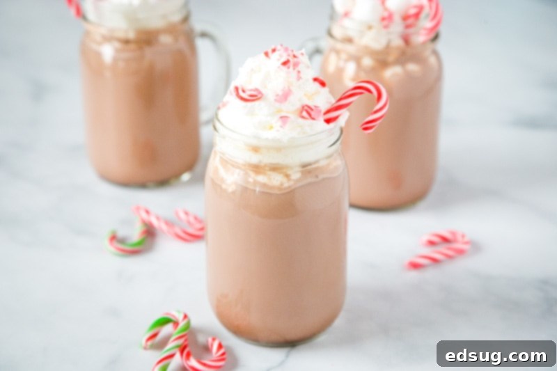 A festive spread featuring peppermint hot chocolate with various toppings, perfect for a holiday gathering.