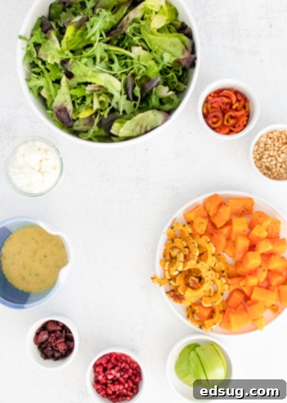 A beautiful arrangement of fresh salad ingredients, including squash, apples, cranberries, and goat cheese, laid out before assembly.