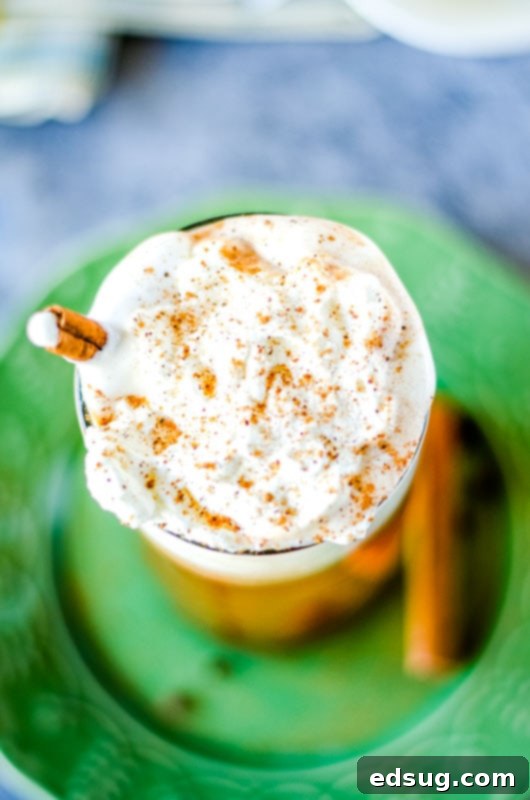 Looking down into a glass of hot buttered rum topped with whipped cream and a dusting of cinnamon, with a focus on the rich texture