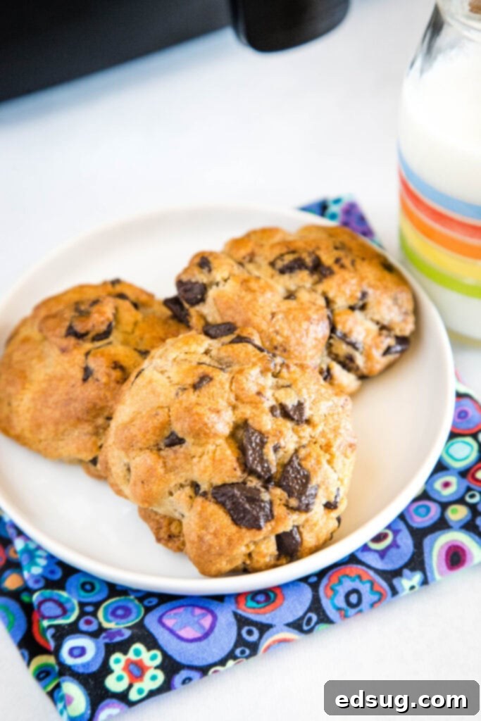 Freshly baked chocolate chip cookies on a plate, showing crispy edges and a warm, inviting appearance, made in an air fryer.