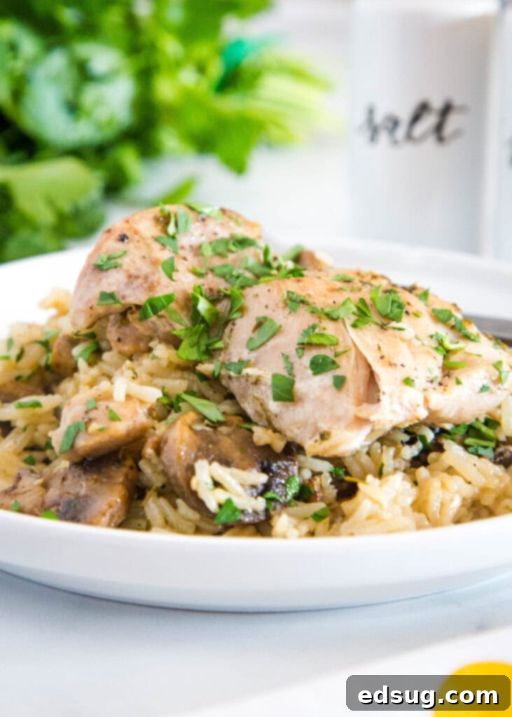 plate with mushroom rice and instant pot chicken