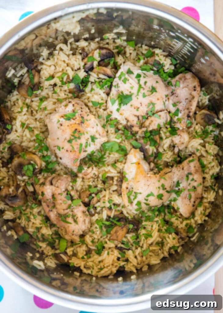 chicken and rice in instant pot