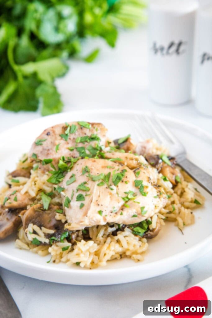 Plate of chicken thighs and mushroom rice
