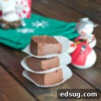 A top-down view of a classic chocolate fudge square, highlighting its rich texture.
