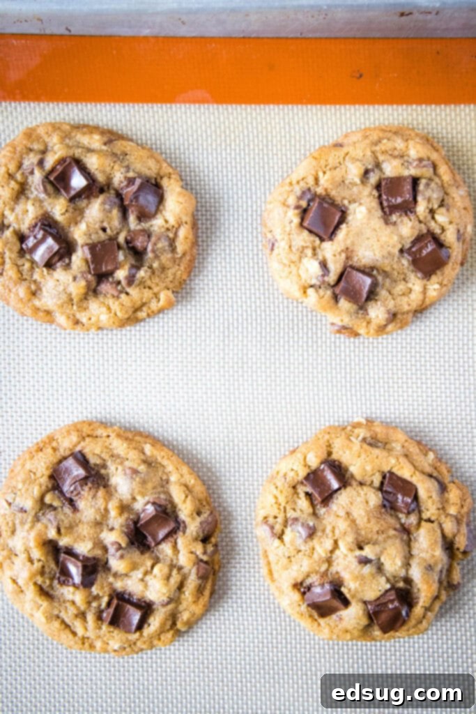 Several warm, golden-brown copycat Chick-Fil-A cookies cooling on a baking tray, showcasing their perfect thickness and chocolate chunks.