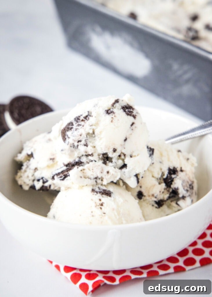 Close-up of creamy Cookies and Cream Ice Cream in a bowl, showcasing crushed Oreo pieces.