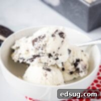 Close up of a bowl of homemade Cookies and Cream ice cream