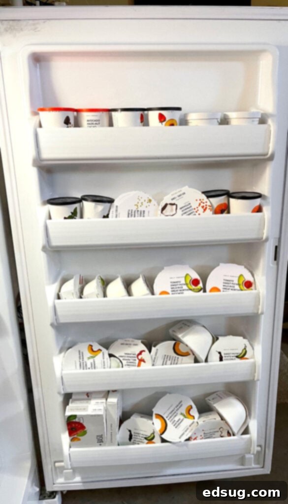 freezer full of daily harvest meals