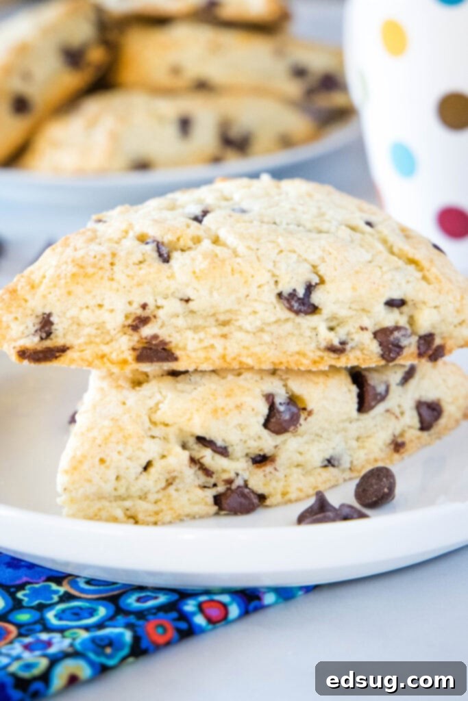 Two golden-brown chocolate chip scones stacked on a white plate, showcasing their crumbly texture and melty chocolate chips.
