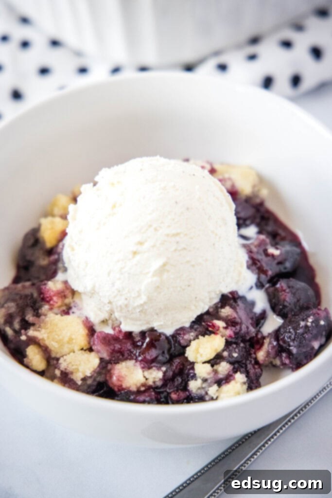 Cherry Cobbler 2 A bowl of cherry cobbler topped with a scoop of vanilla ice cream, viewed from above.
