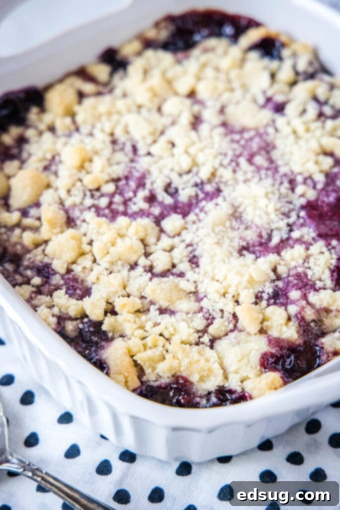 Cherry Cobbler 3 A baked cherry cobbler in a rectangular casserole dish, with a golden-brown crumb topping and bubbly cherry filling.