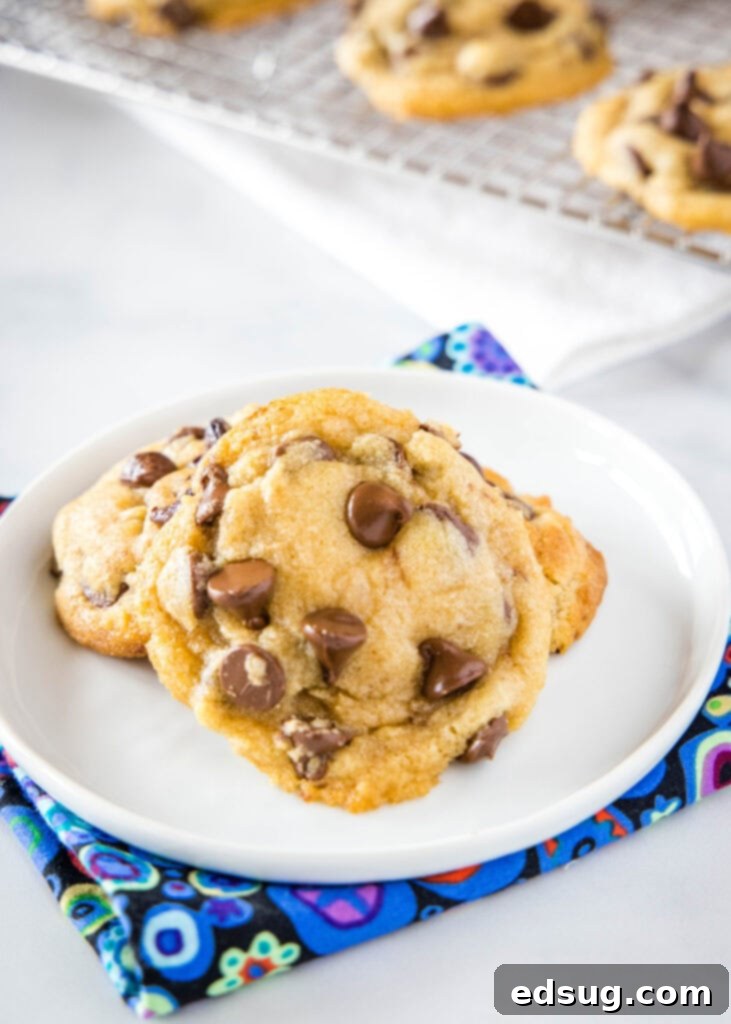 cookies on a white plate