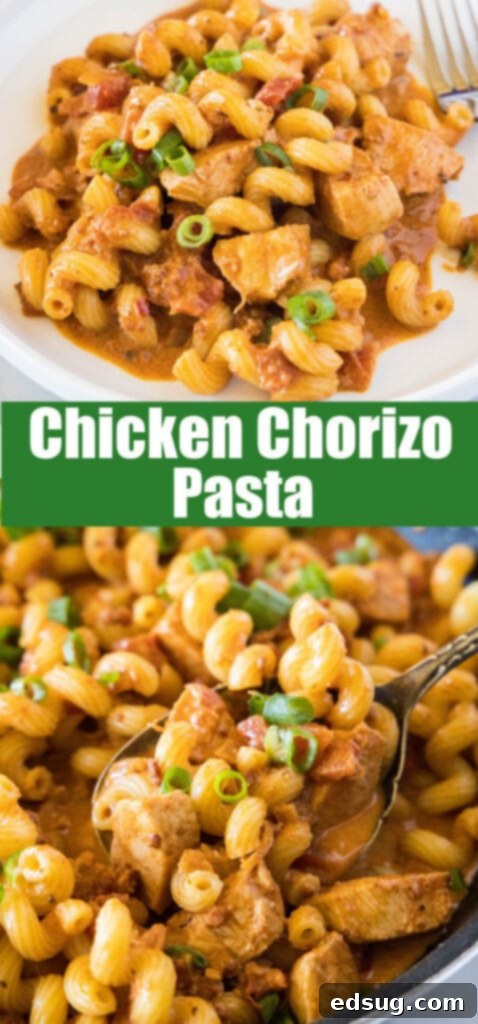 Smoky Chicken Chorizo Pasta 7 close up chorizo chicken pasta