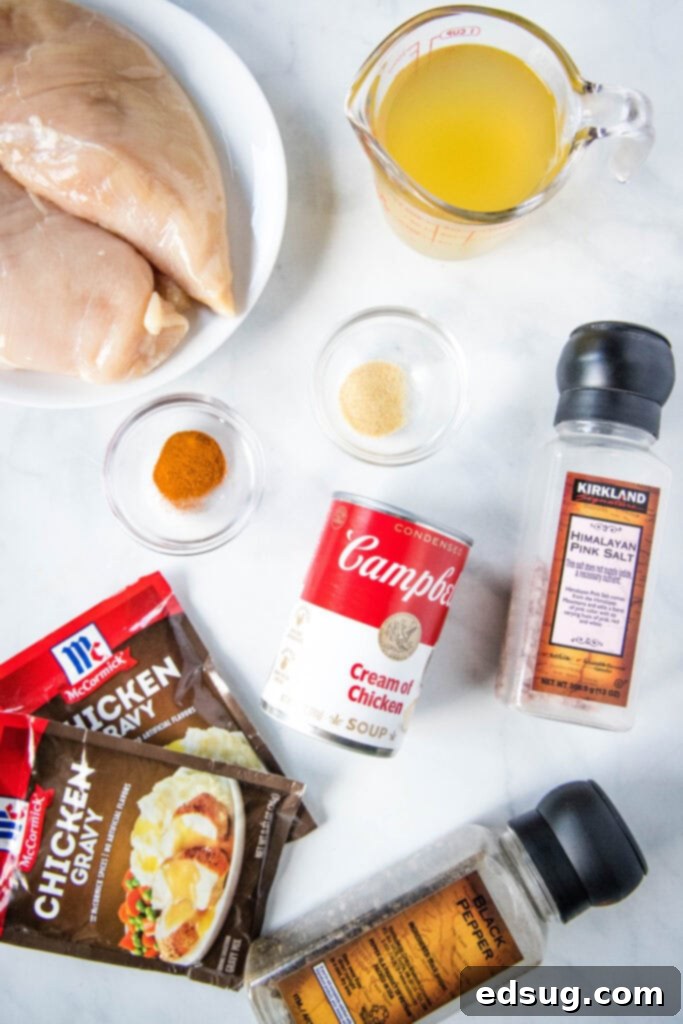 Comforting Crockpot Chicken and Gravy 3 A selection of ingredients for crockpot chicken and gravy laid out on a kitchen surface, including chicken breasts, soup cans, gravy packets, and spices.