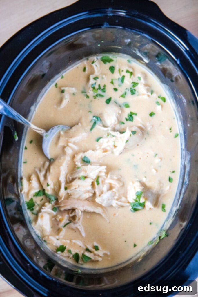 Comforting Crockpot Chicken and Gravy 4 Crockpot Chicken and Gravy simmering in a slow cooker, with a serving spoon resting inside, ready to be dished out.