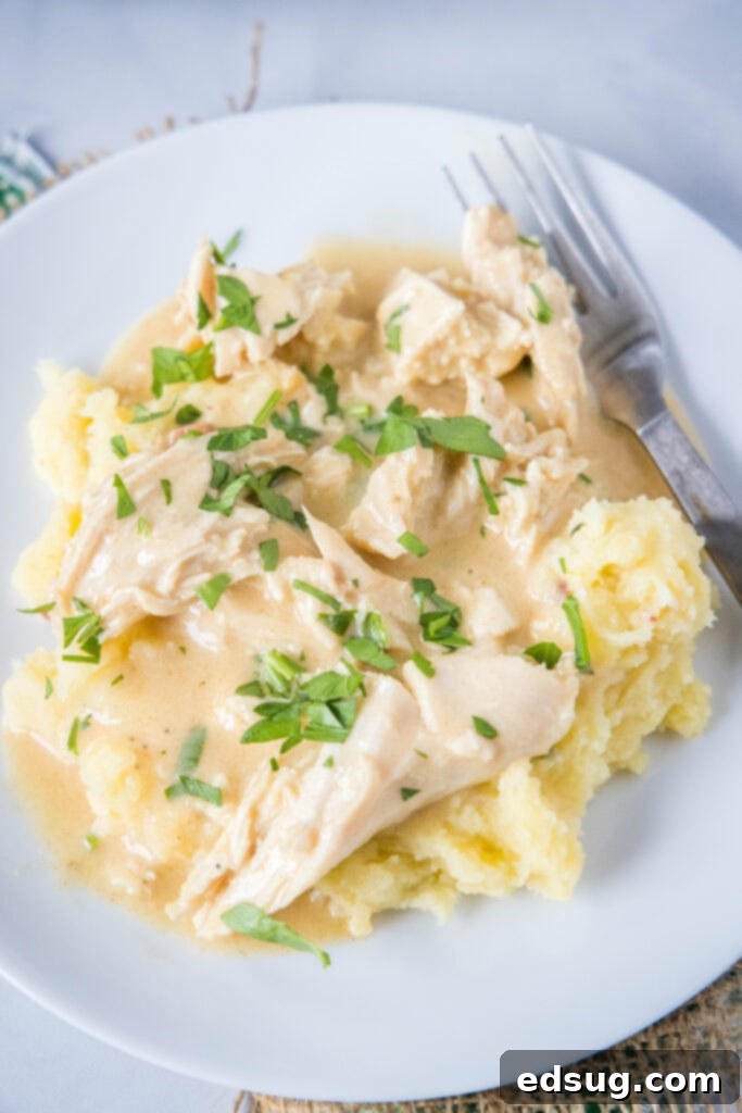 Comforting Crockpot Chicken and Gravy 5 A top-down view of a plate featuring shredded chicken and gravy served over a bed of mashed potatoes, garnished with fresh herbs.