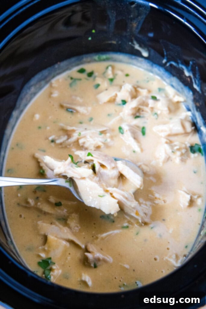 Comforting Crockpot Chicken and Gravy 6 A serving spoon lifting a piece of cooked, shredded chicken out of a slow cooker filled with gravy.