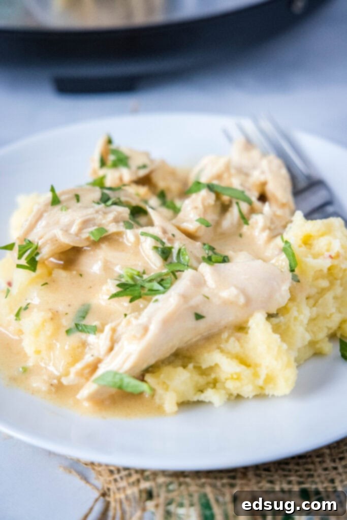 Comforting Crockpot Chicken and Gravy 7 A generous serving of shredded chicken and gravy artfully arranged over creamy mashed potatoes on a pristine white plate.