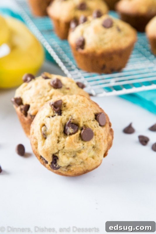 Fluffy, golden-brown banana chocolate chip muffins cooling on a wire rack with ripe bananas in the background, ready to be enjoyed.