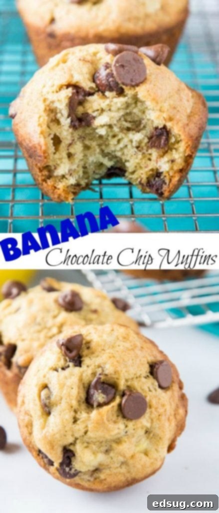 A Pinterest-friendly image showing banana chocolate chip muffins with text overlay, highlighting them as a great freezer breakfast.