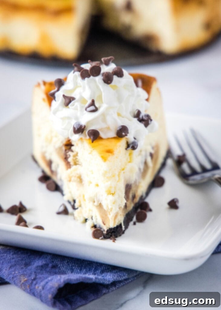 A perfect slice of chocolate chip cookie dough cheesecake on a white plate, showing the distinct cookie dough pieces within the creamy filling.